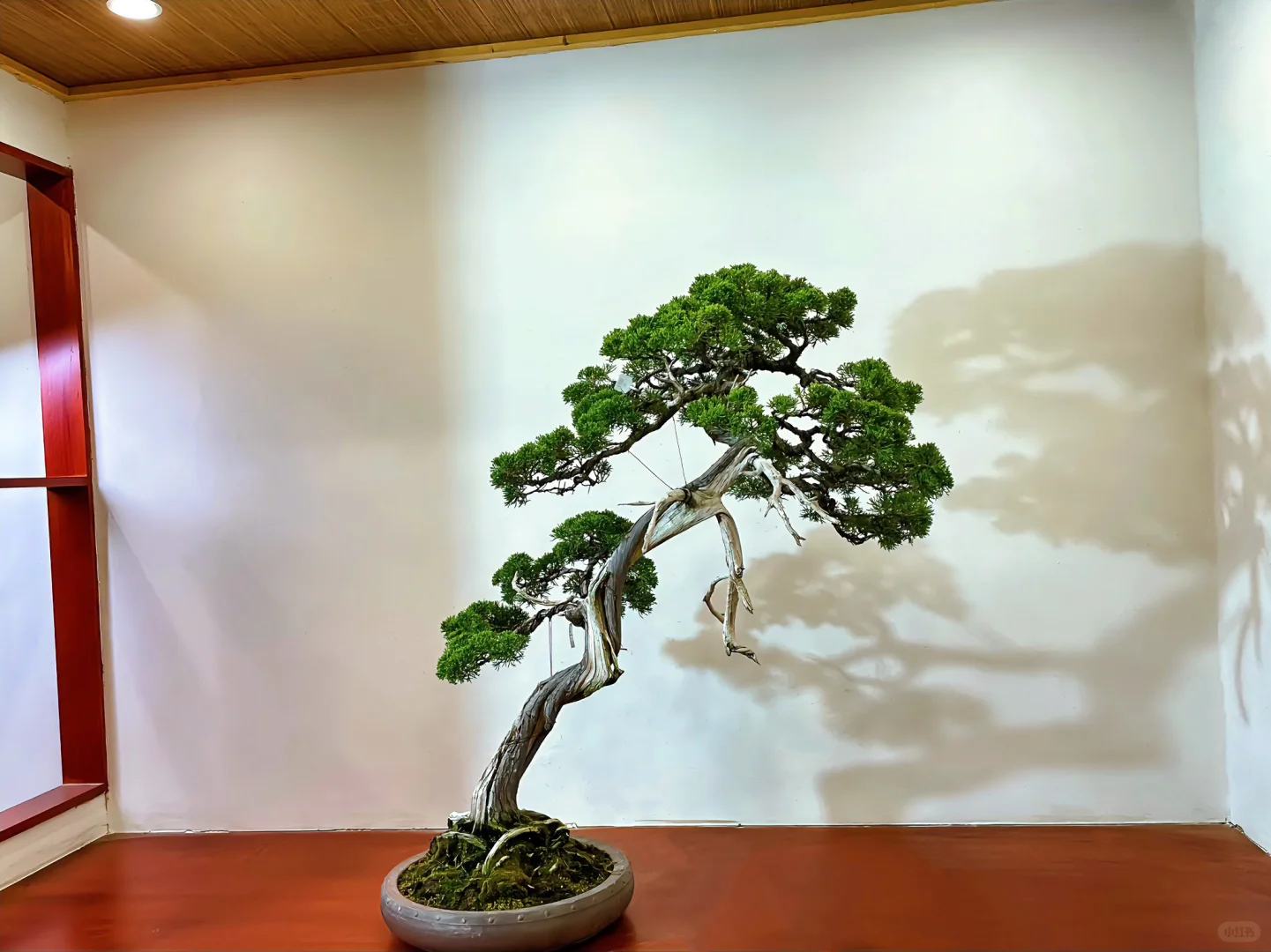 因为热爱 所以热血