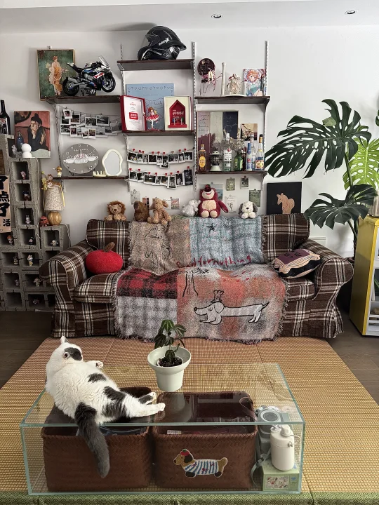 是幸福感很强的出租屋☆*