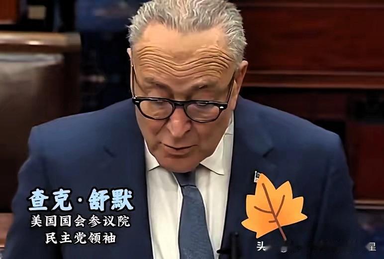 昨天美国政坛彻底炸了，

1月3日，美国特种部队对委内瑞拉展开突袭，加拉加斯响起