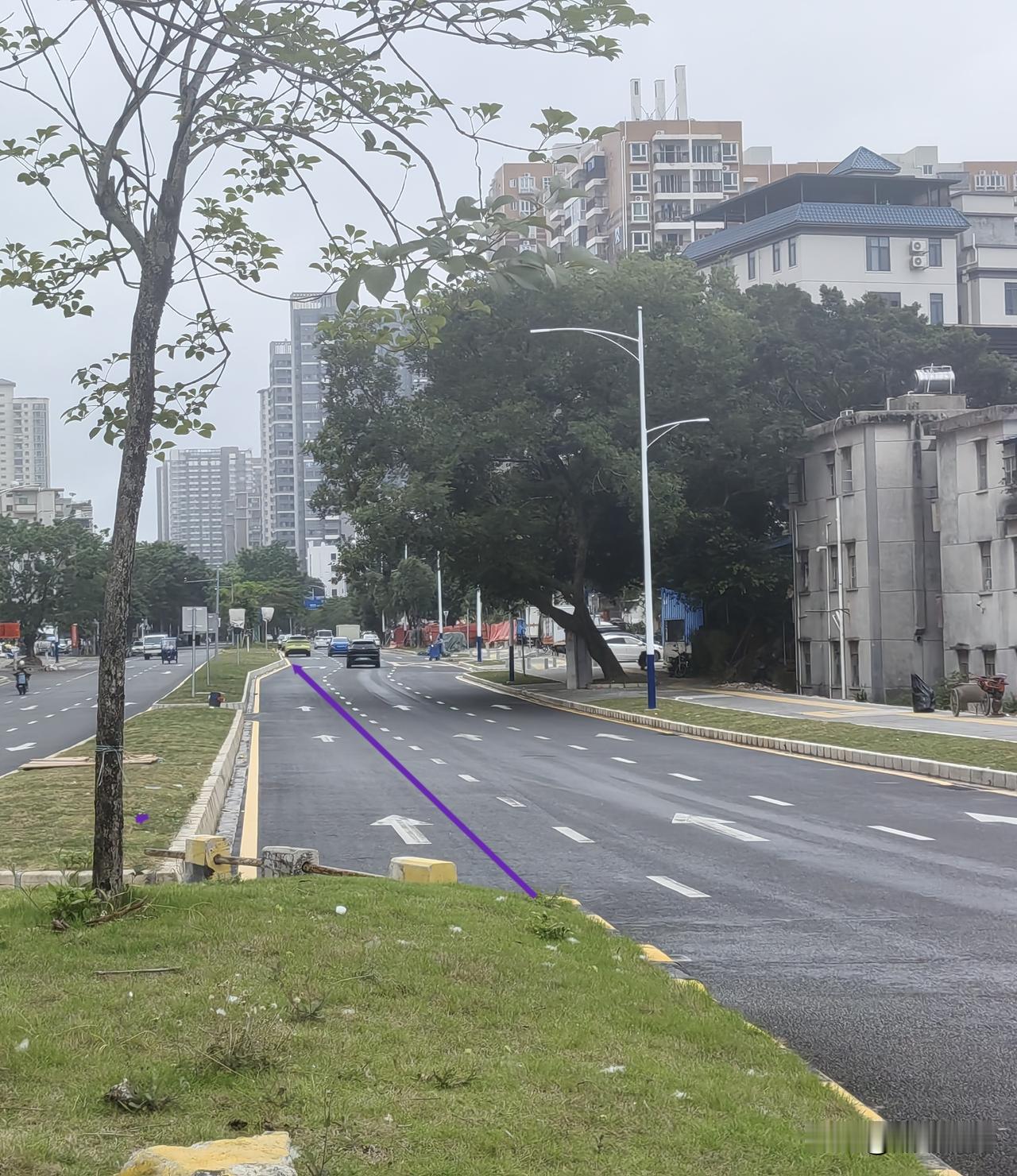 为了一棵树，新修的路竟然绕了一个弯，值得吗？
      大亚湾龙山七路东侧这边