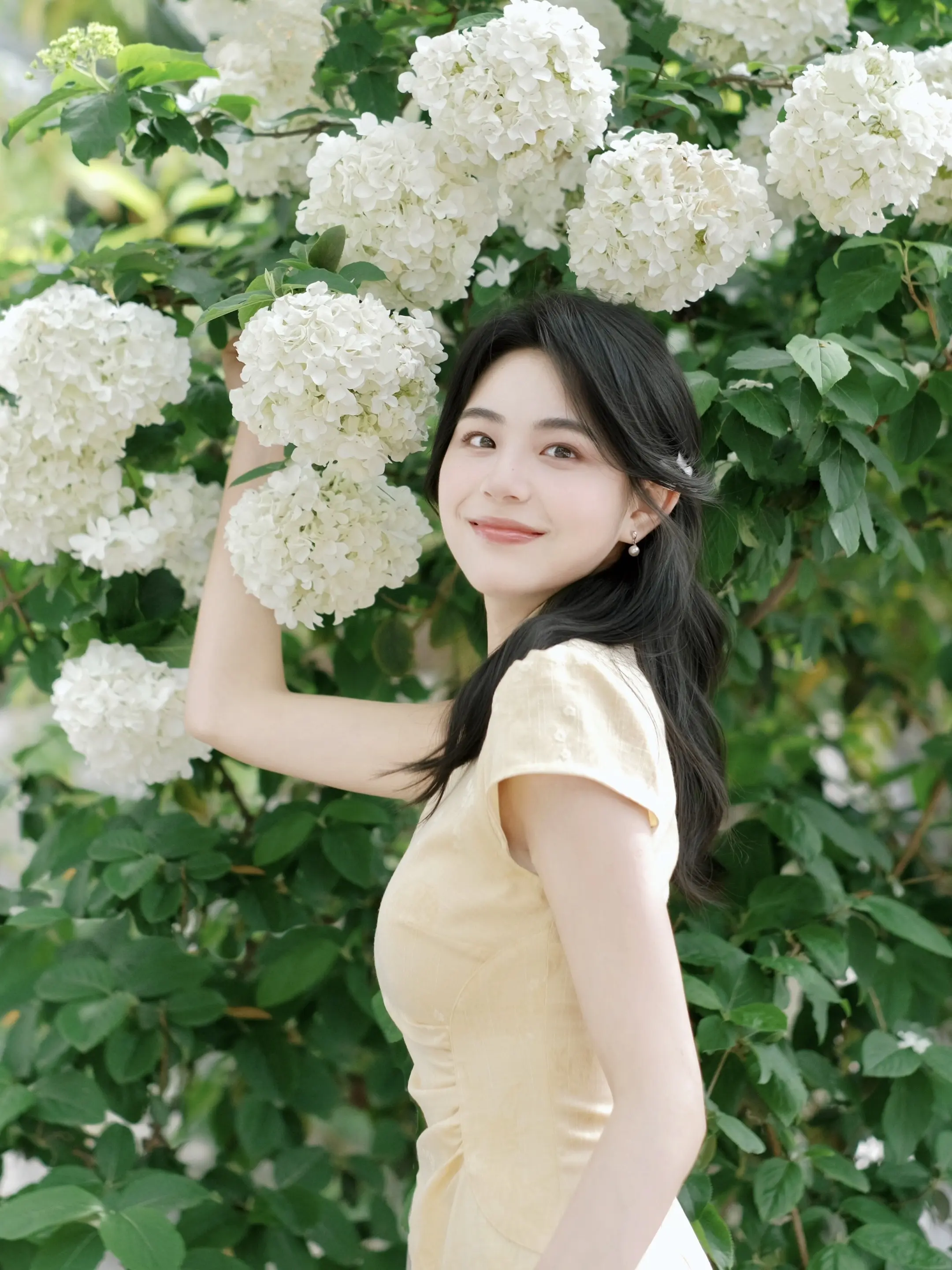 又到了和绣球花合影的季节 拍出春日氛围感