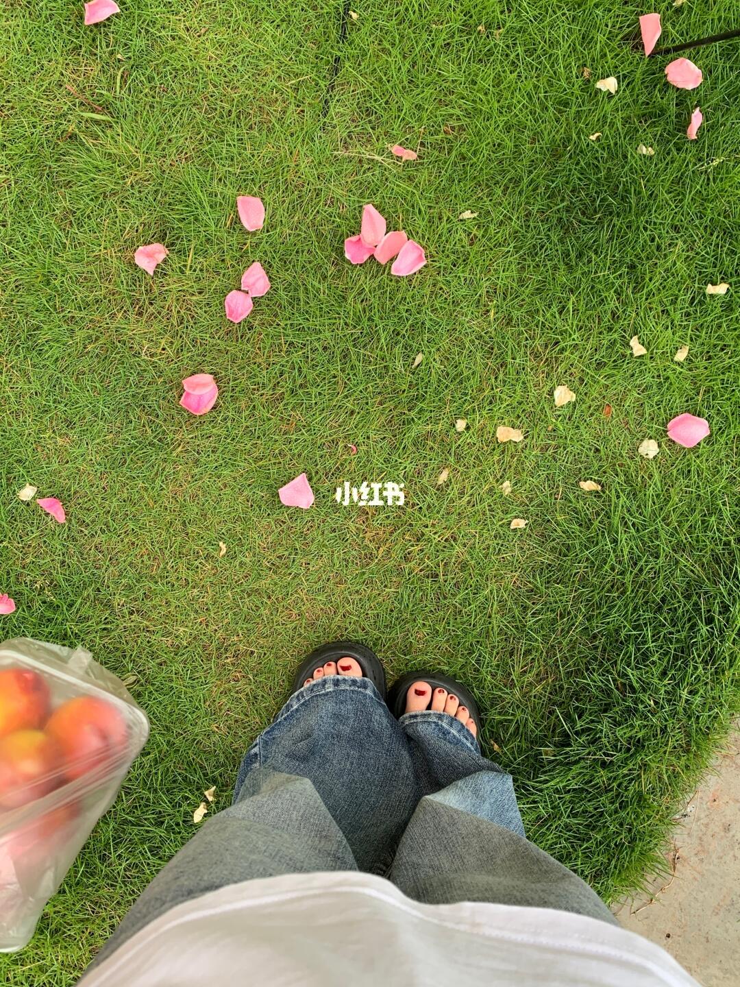 散落的春天