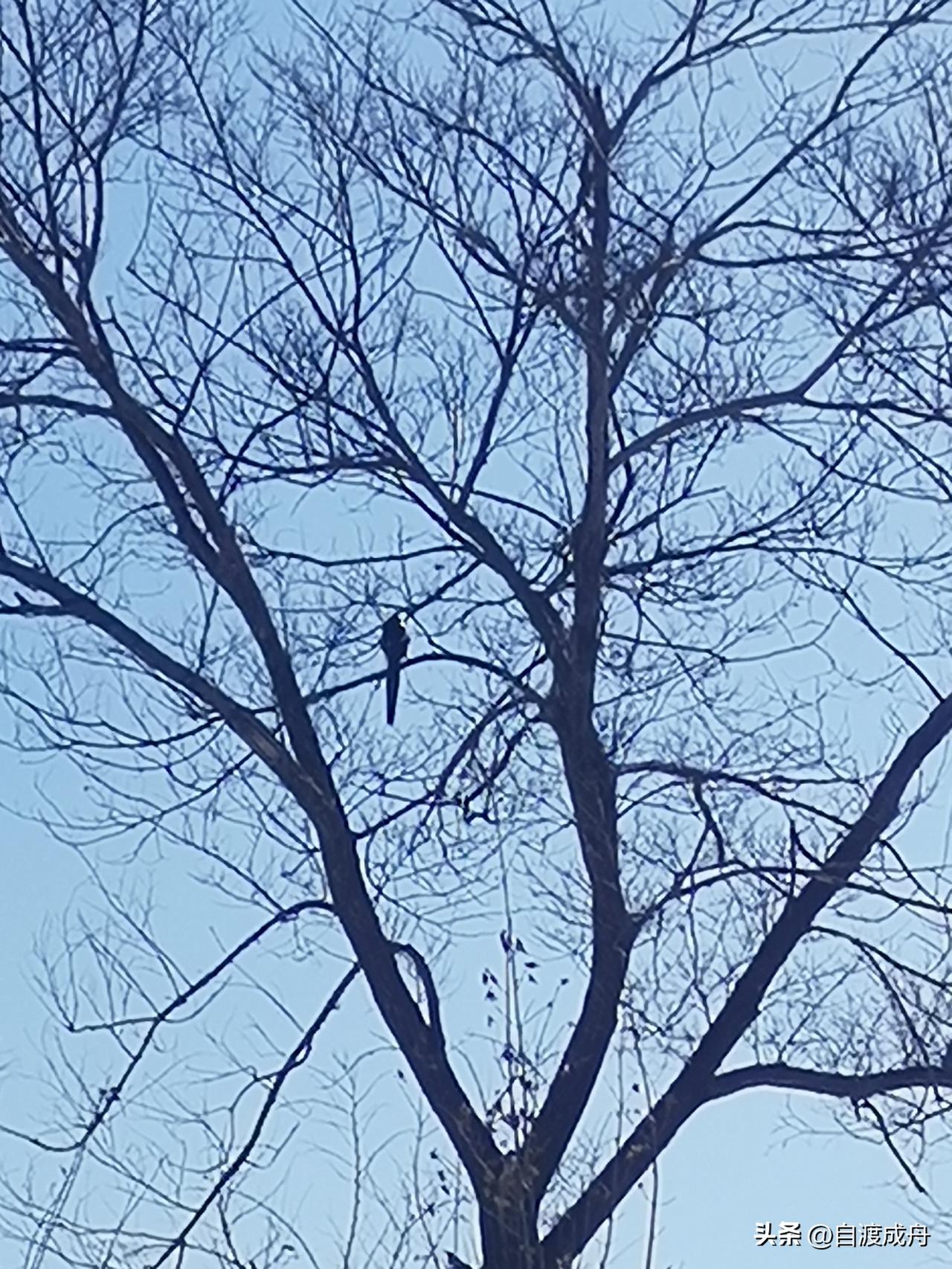 今年春天最想实现的心愿想在今年春天，去看一场漫山的花开，吹吹温柔的晚风，把烦恼都