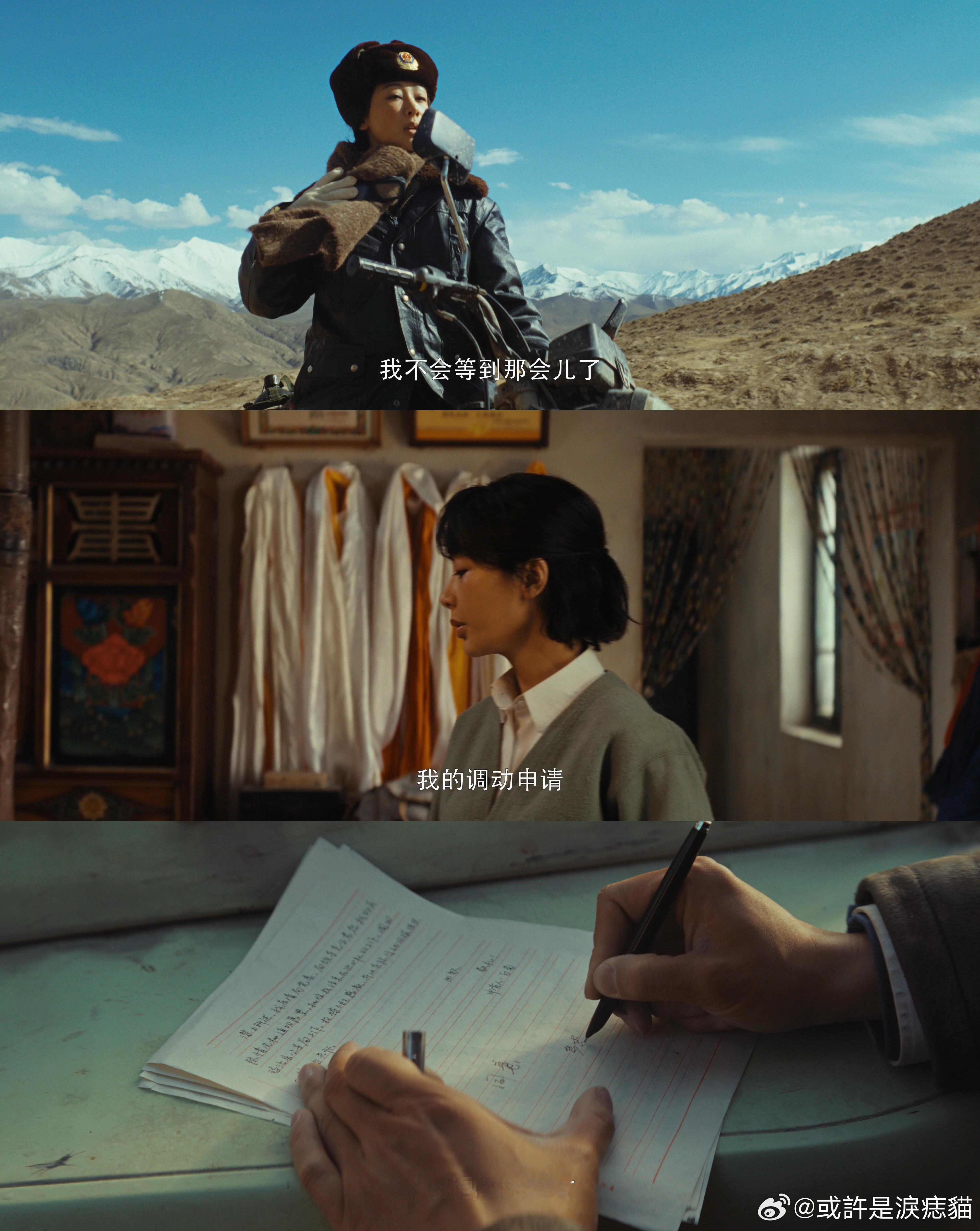 在生命树看到公安干警的坚守 总有人在我们看不见的角落，扛起守护自然的责任，剧中的