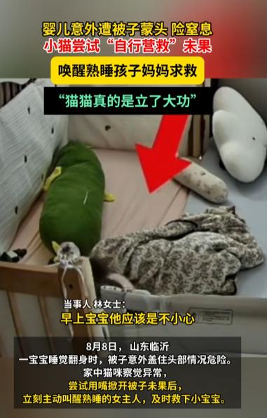 “万物皆有灵！”山东，一婴儿翻身时不慎被捂，熟睡的妈妈却浑然不觉。生死瞬间，家猫
