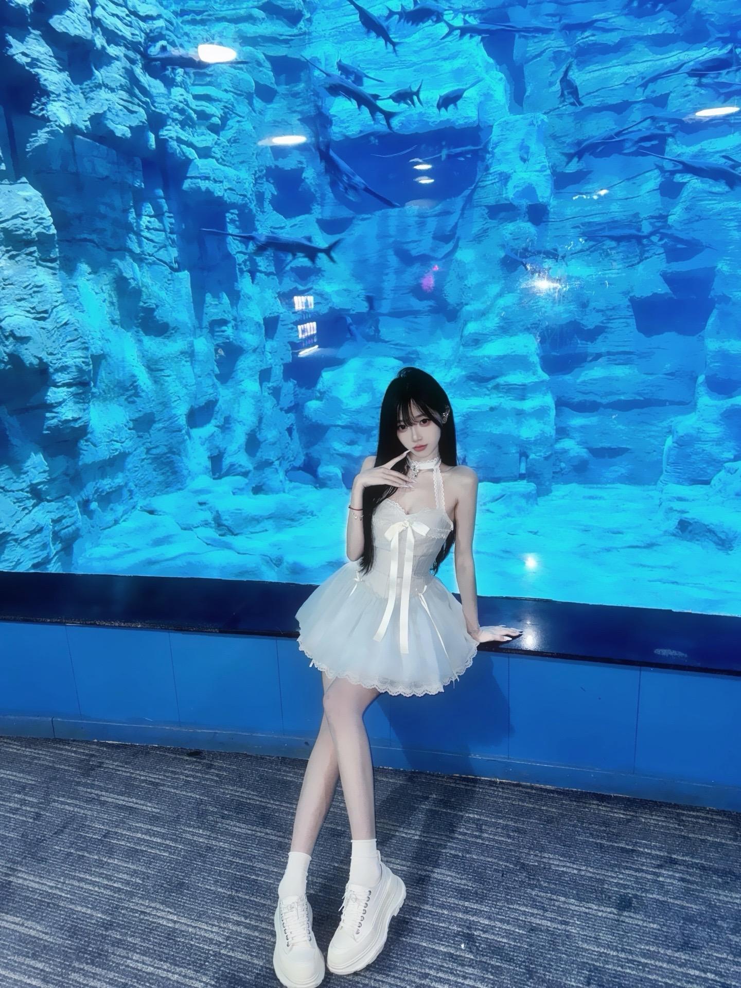 世界需要讲道理 而我最偏心你