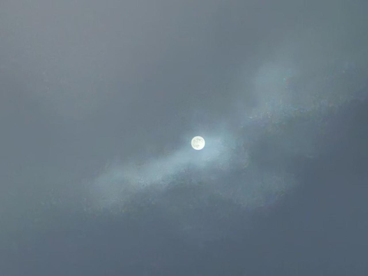 月亮上岗记

等了整晚
这位怕黑的伙计
才磨磨蹭蹭
拨开加班的云层

路灯们纷纷
