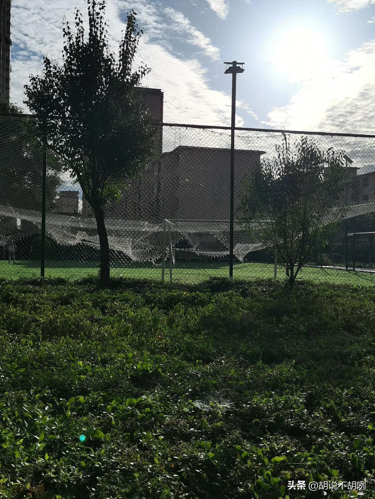今天又没忍住，写了一篇和生活毫无关系，并且故事性很强的微头条，我以前说过以后不会