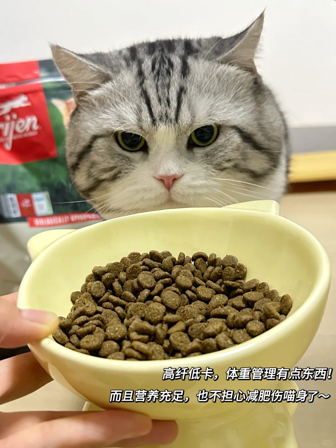 吃了一周减肥粮了，说点大实话吧！