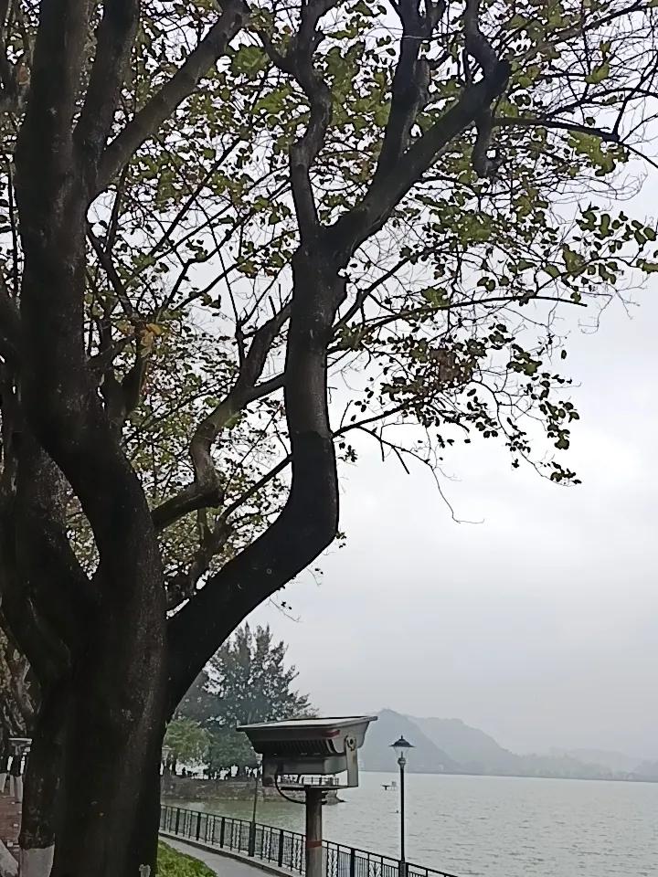 你敢相信吗？这里就是肇庆市的七星岩景区。
风景优美，空气清新
欢迎大家来旅游。