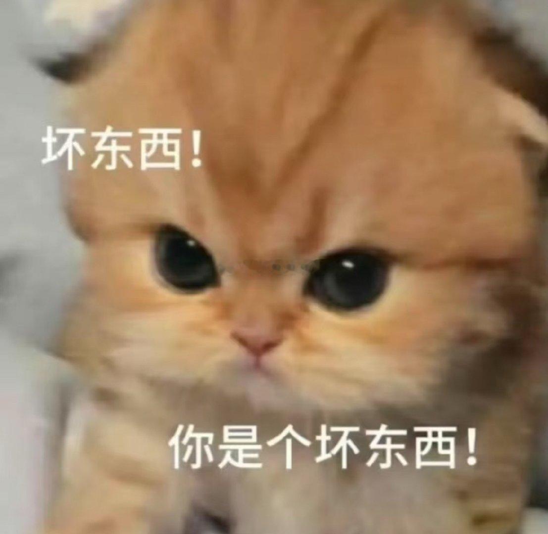 🐺每次就会调侃我！！下班之后可期待和🐺打视频啦，总得腻歪一会再运动，有时候聊