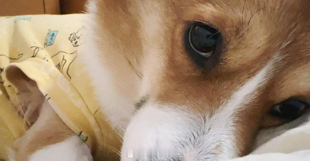 分享图片 