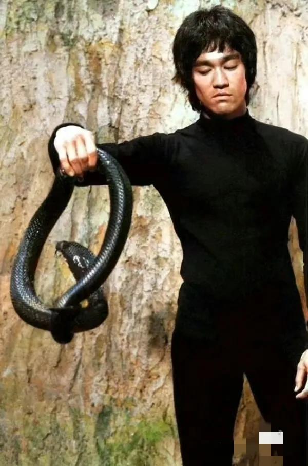 天下武功唯快不破！