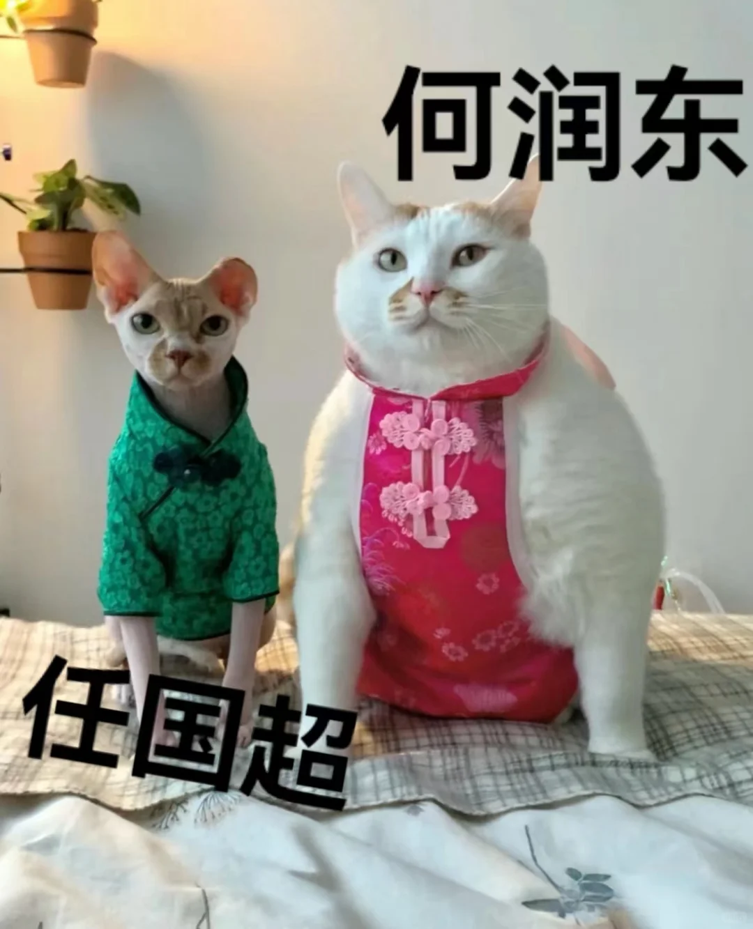 偷子看到咱们的人率先演出了双开门…会偷吗