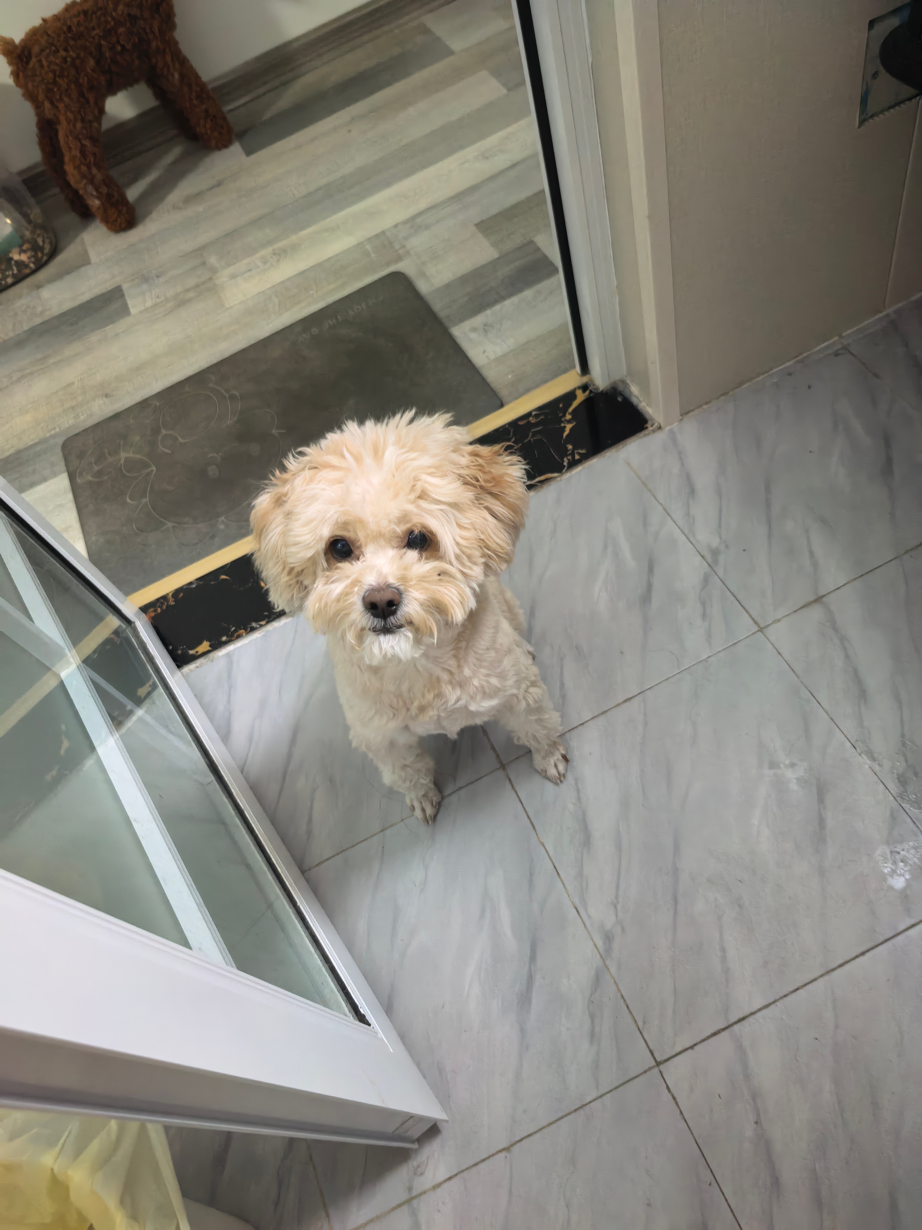 看看你家的厕所守护兽，这是我家的 