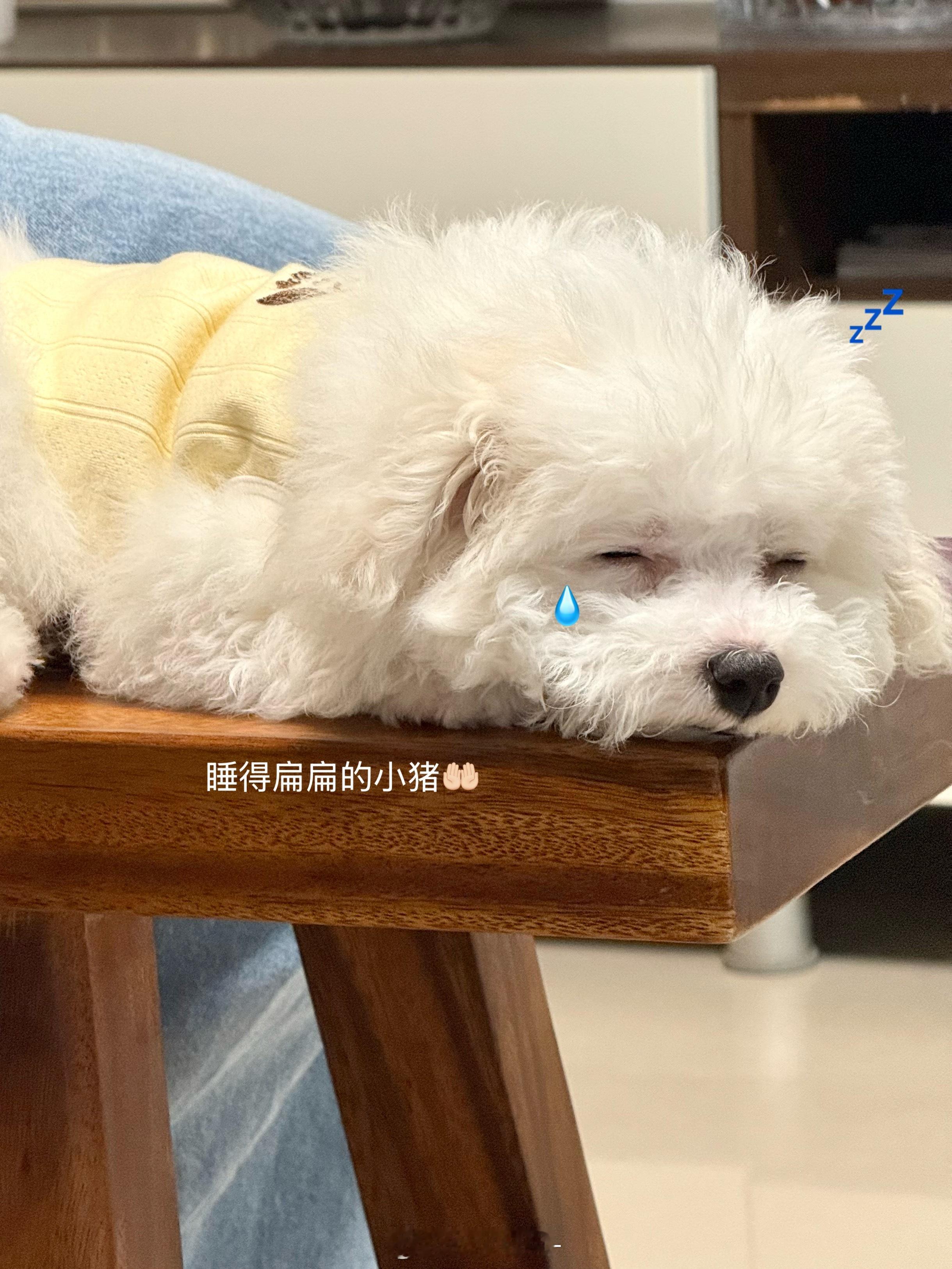 突袭！睡了没💤🧋鲸日三两事 ​​​
