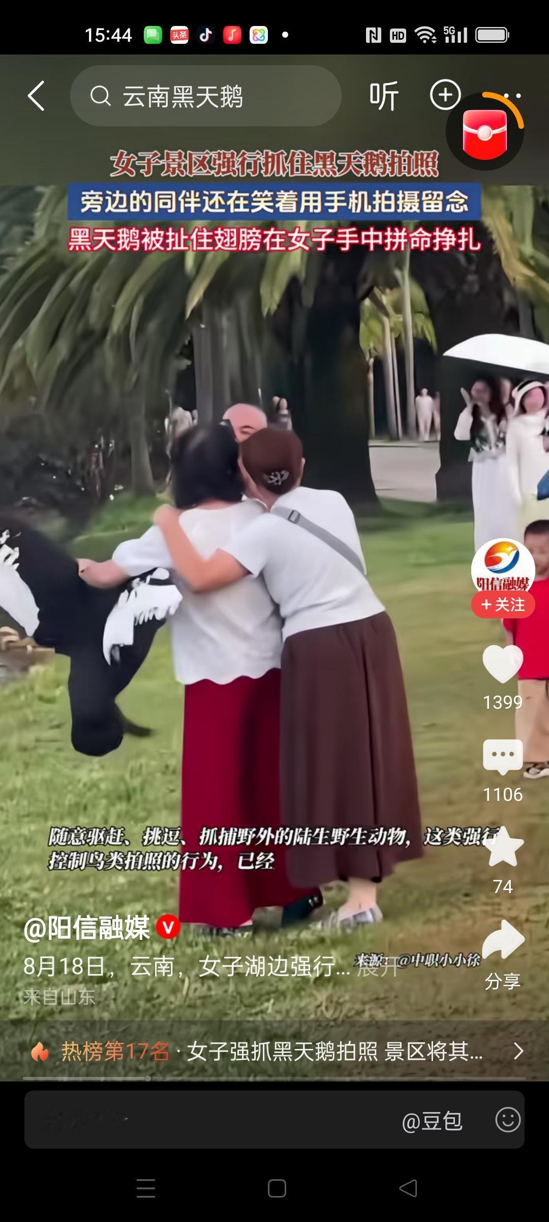 女子在公园抓住黑天鹅拍照，天鹅在她手中拼命挣扎，还是不肯松手。
这种情况不知道会