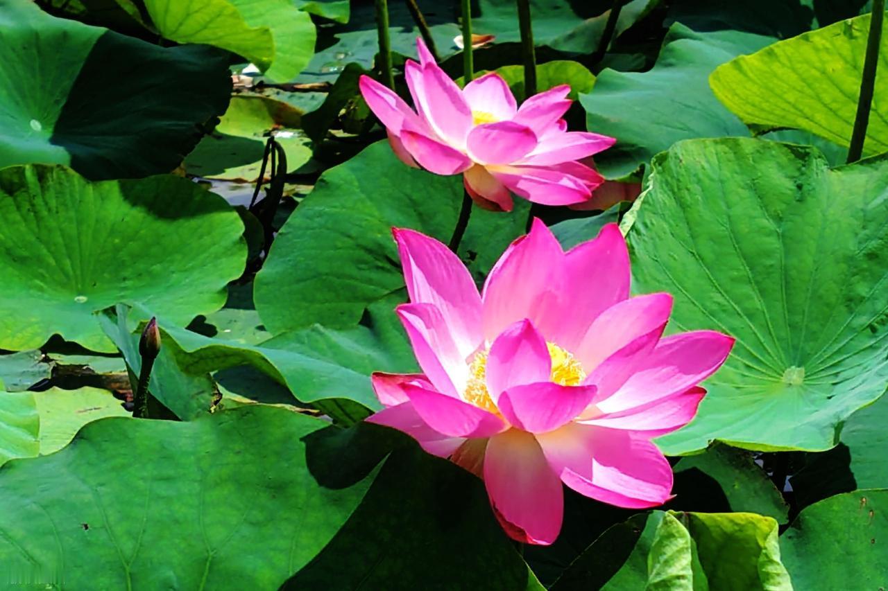 总把后果看得过于严重，难为了自己。就像小学时考了不及格，站在家门口不敢敲门。其实