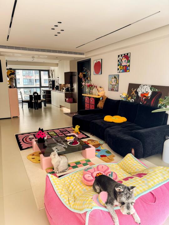 🏠屋子好小‼️好挤‼️但是好喜欢‼️