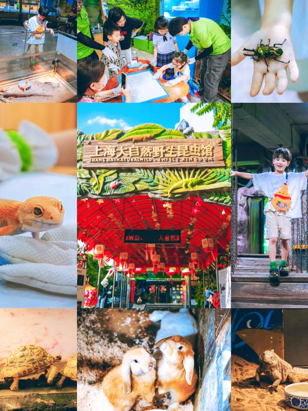 探秘上海野生昆虫馆，与大自然零距离接触！
