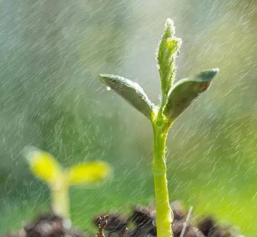 #上联：金风送爽秋意浓，诚邀下联#春雨如丝万物新