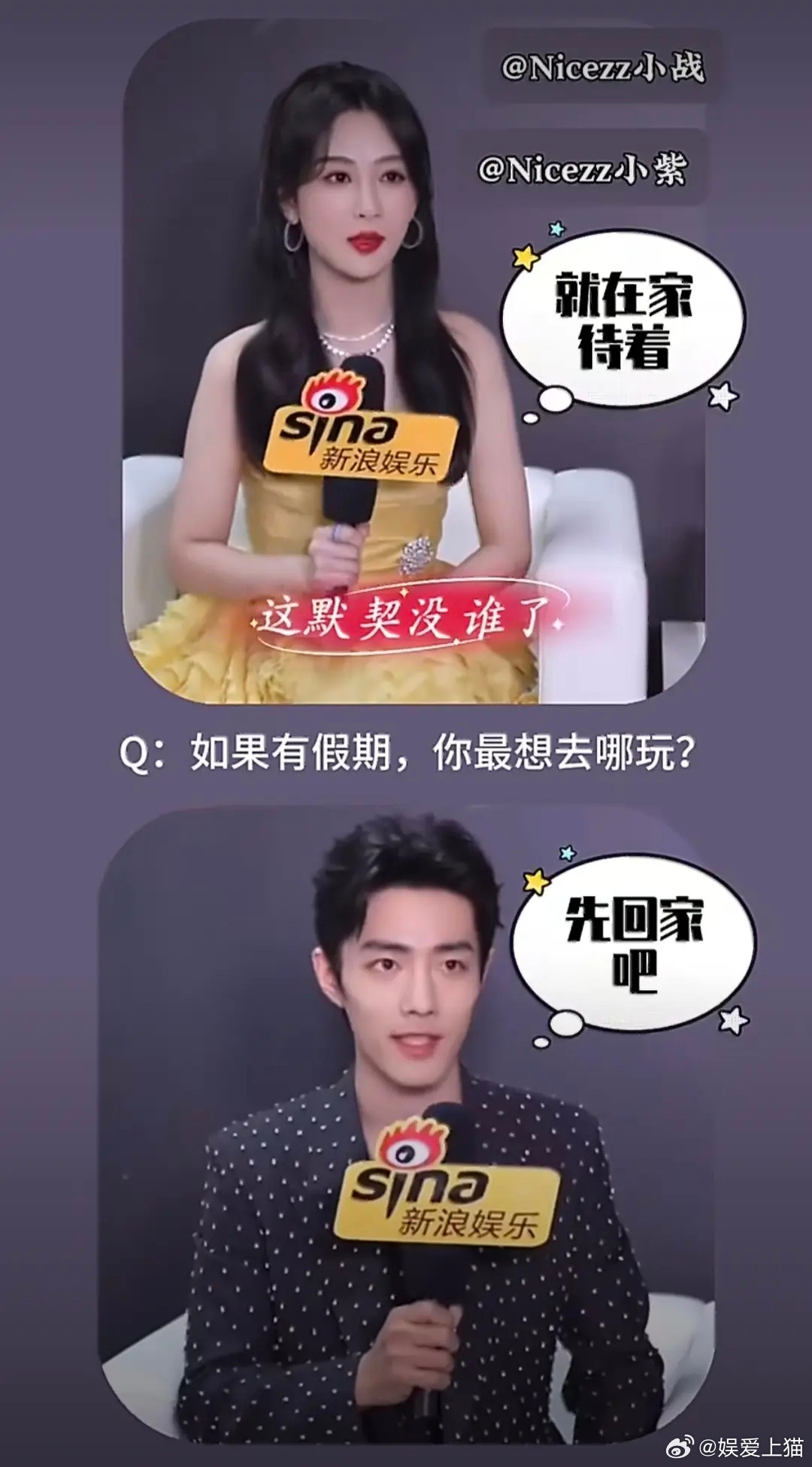 肖战和杨紫好同频啊俩人 