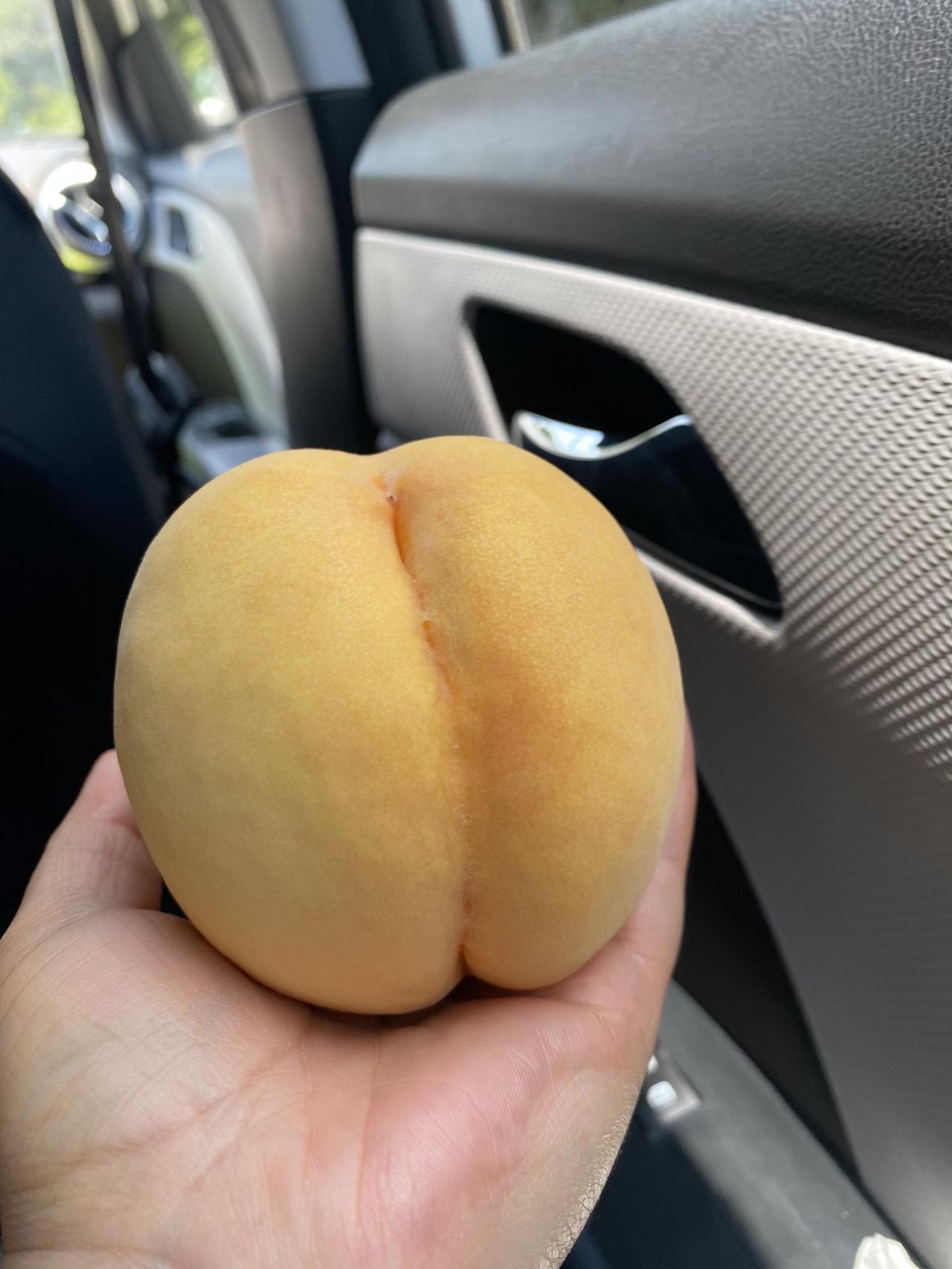 为什么蒙阴的毛黄桃也这么好吃呀😄😄强烈推荐