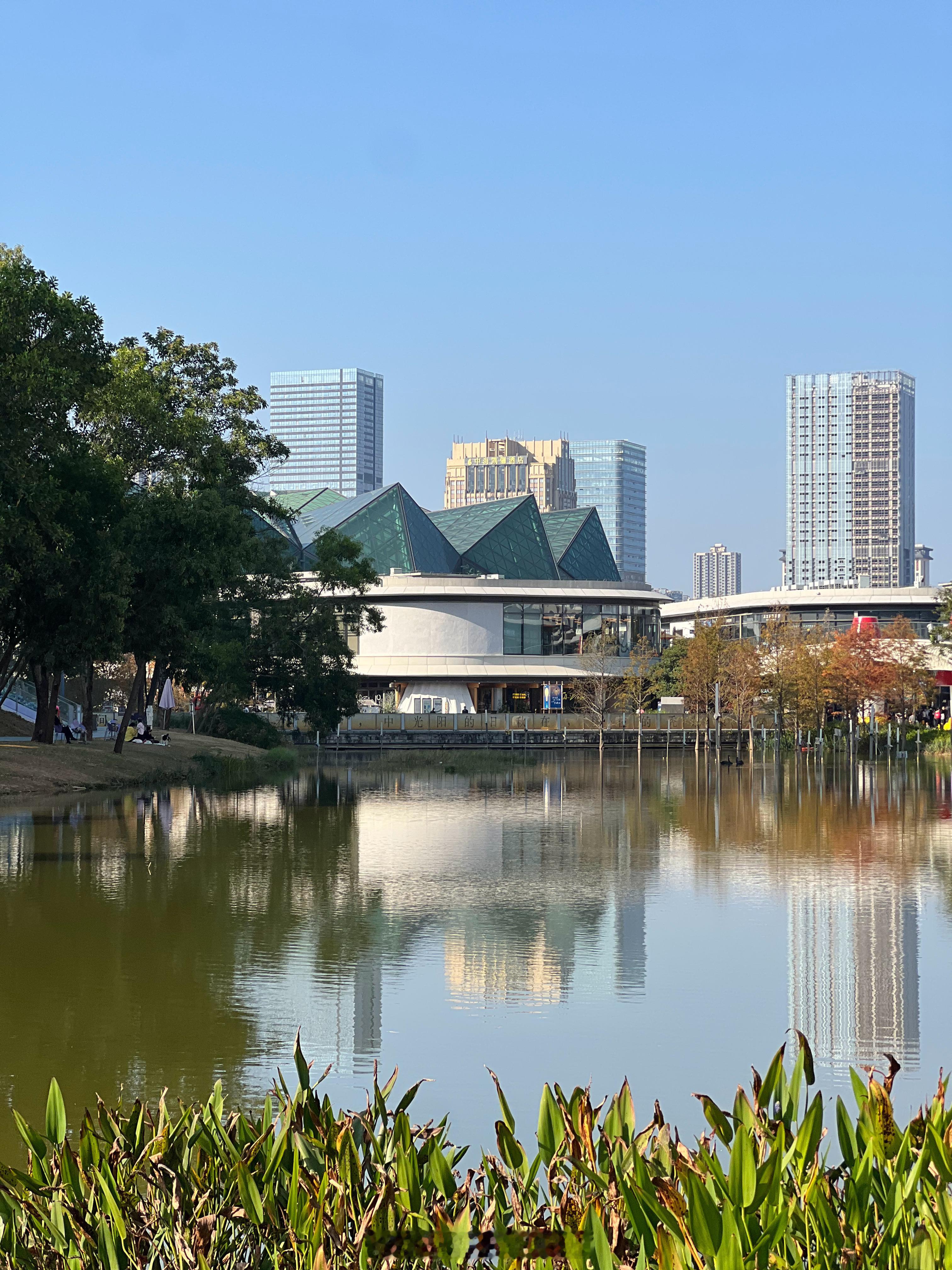 给大家说一下，今天深圳穿短袖……