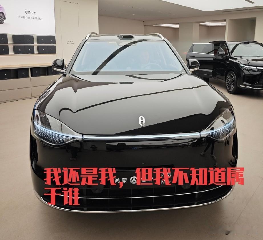 问界没了塞力斯还是问界，问界没了华为，那就真成了问界，问问自己是不是还属于那界。