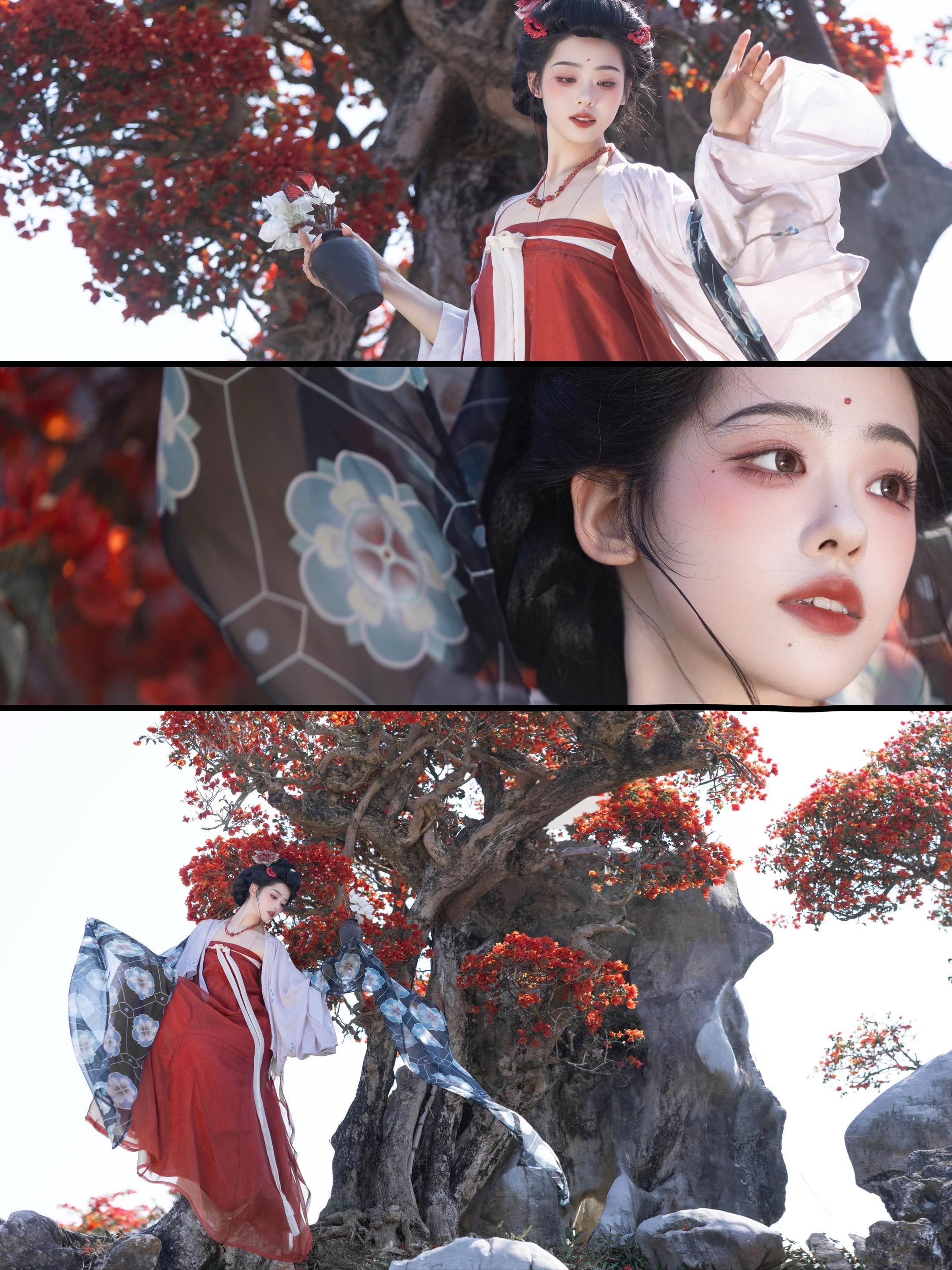 ‘ 林花谢了春红 ’发现一颗位置刚刚好的红色三角梅， 不拍到显得不解风情了