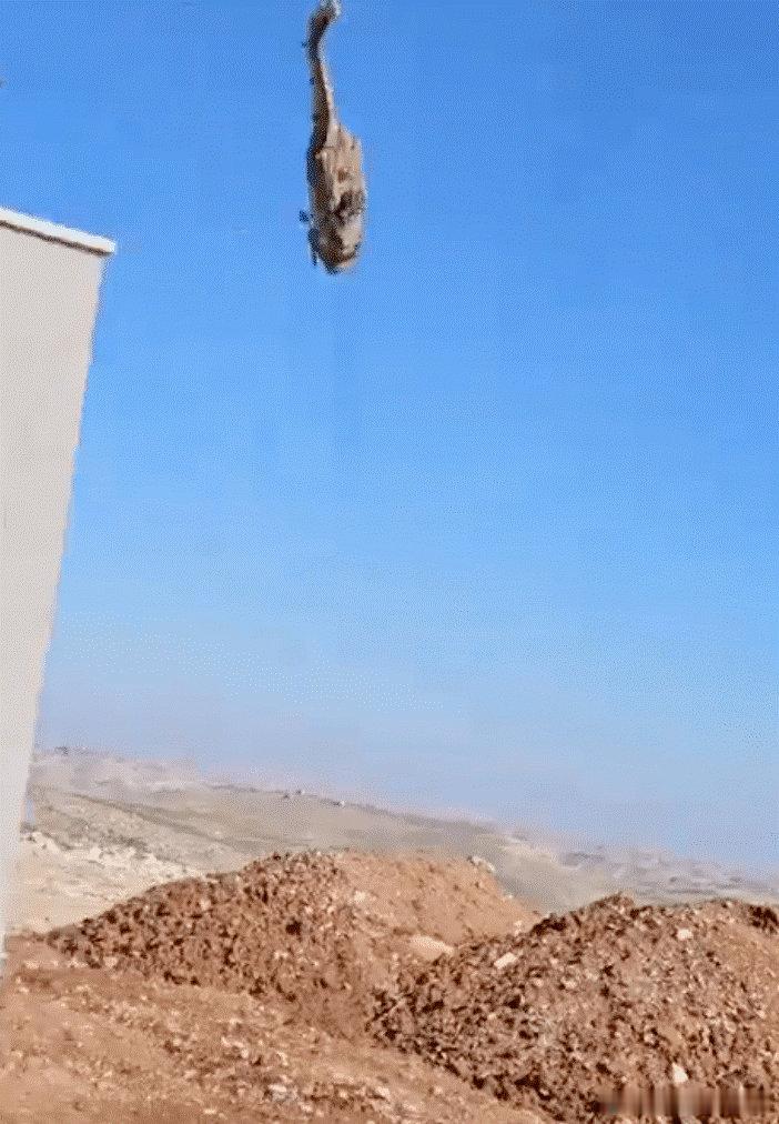 现场画面！以军“黑鹰”直升机在空中吊挂作业时坠落，尾梁断裂------据美国“战