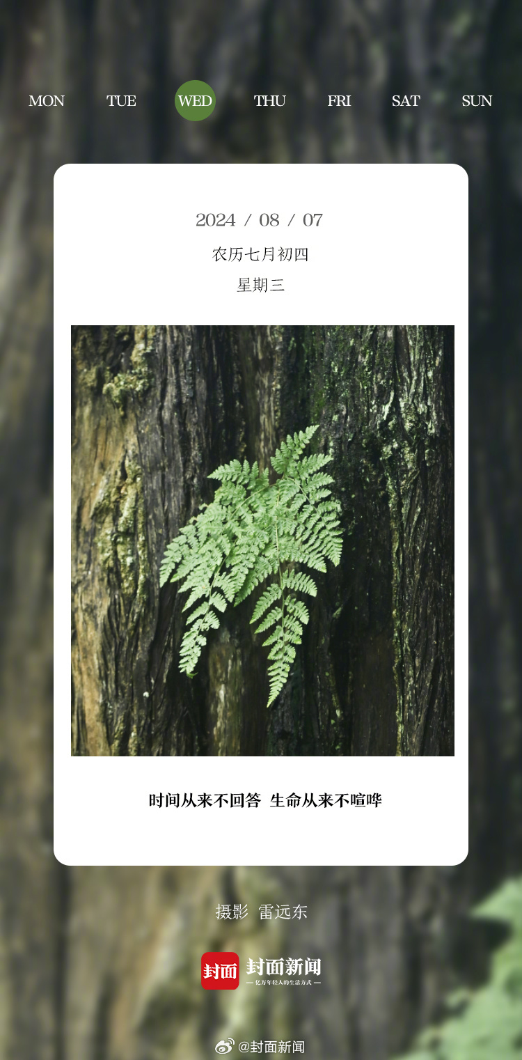 #小封日历#今天#立秋#，你准备吃点啥？ ​​​