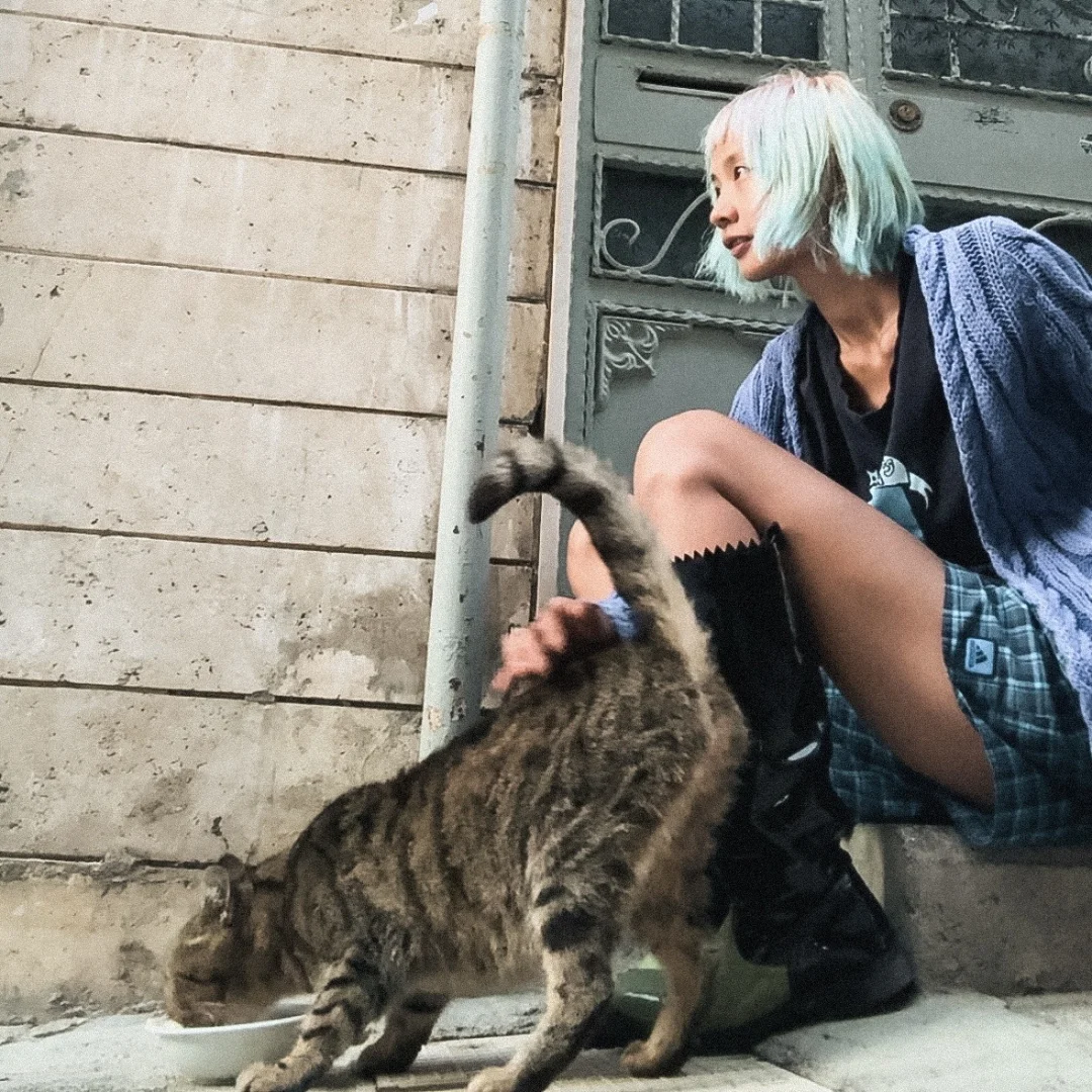 🚛may5 ：太想街区里的小猫了