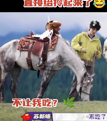 苏新皓告马的状 苏新皓在节目中聊起小马，尝试牵引马头受阻，发生轻松的小插曲。 ​