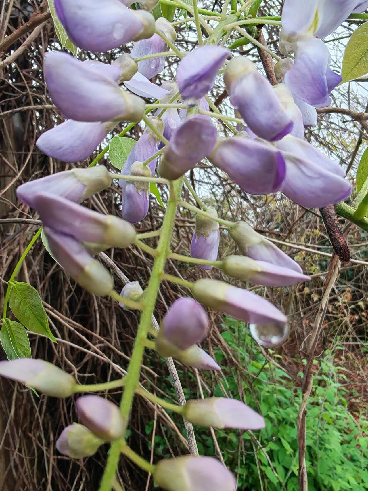 分享一张随手拍