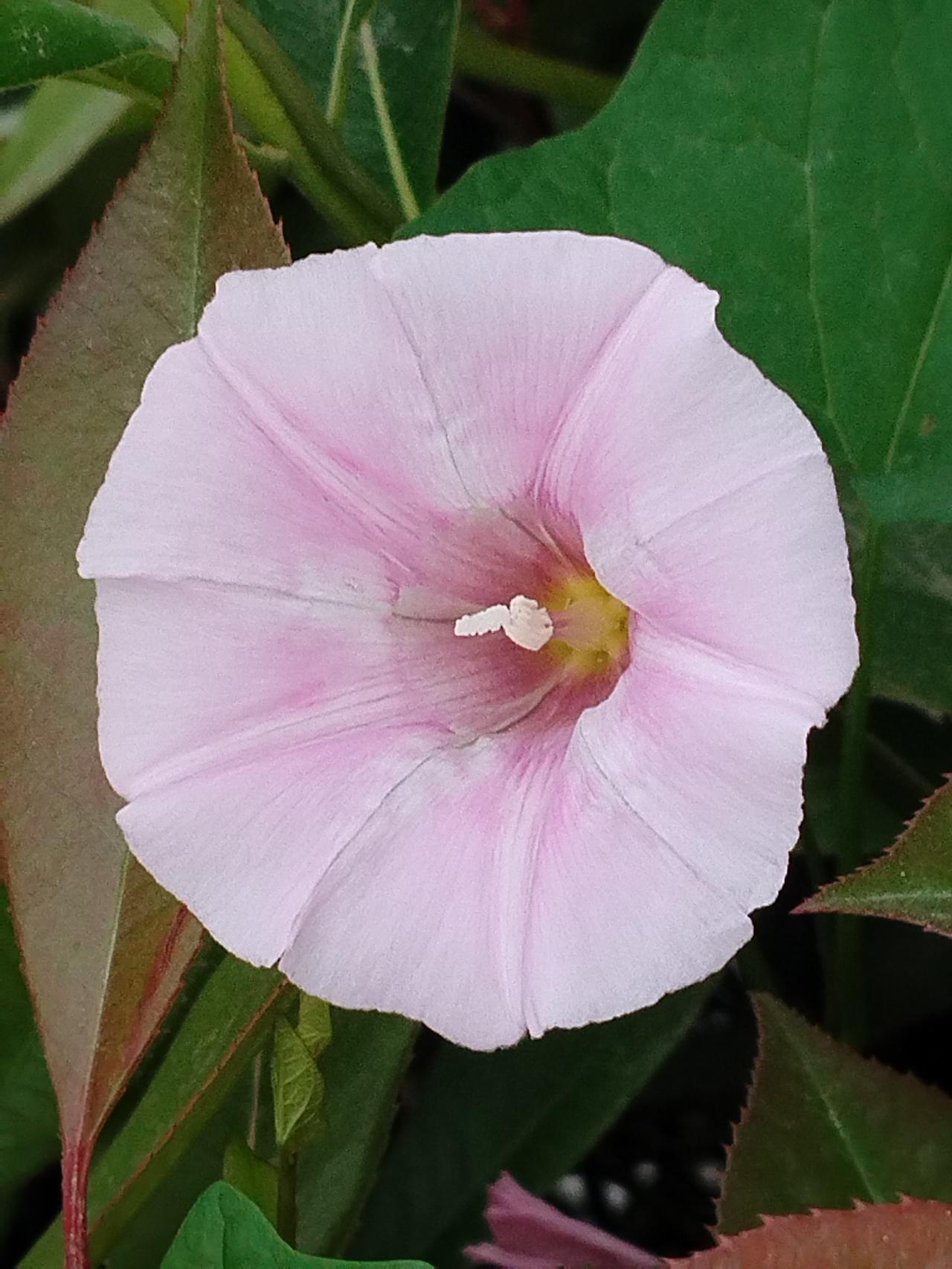 我认为应该管

慈航引渡，爱未央

孩子虽已成年，羽翼渐丰，然人生之海波澜诡谲，