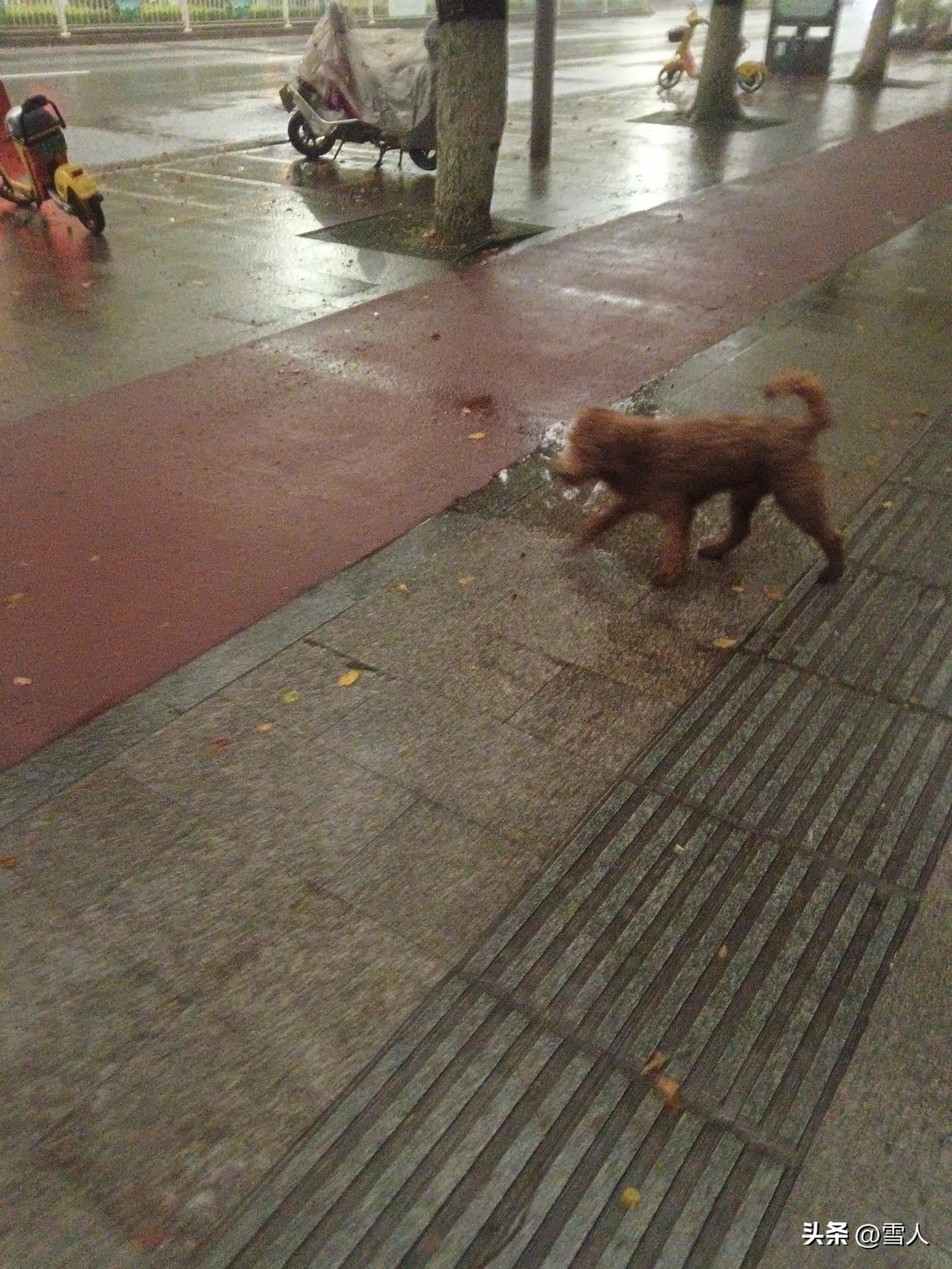 12岁男孩一写作业就狂吐，多家医院查不出器质性病变，最终确诊为转换障碍——笔盲个