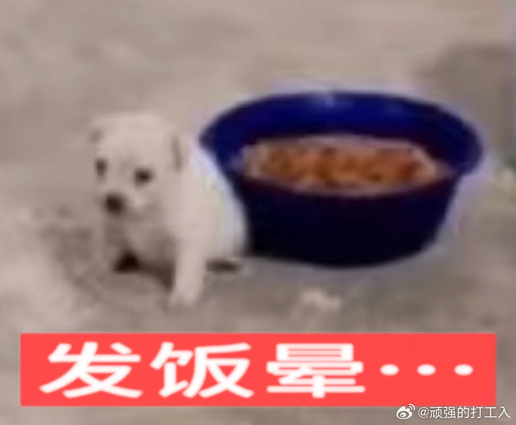 吃够碳水以后我整个人会变得十分慈祥（其实是晕碳了） 