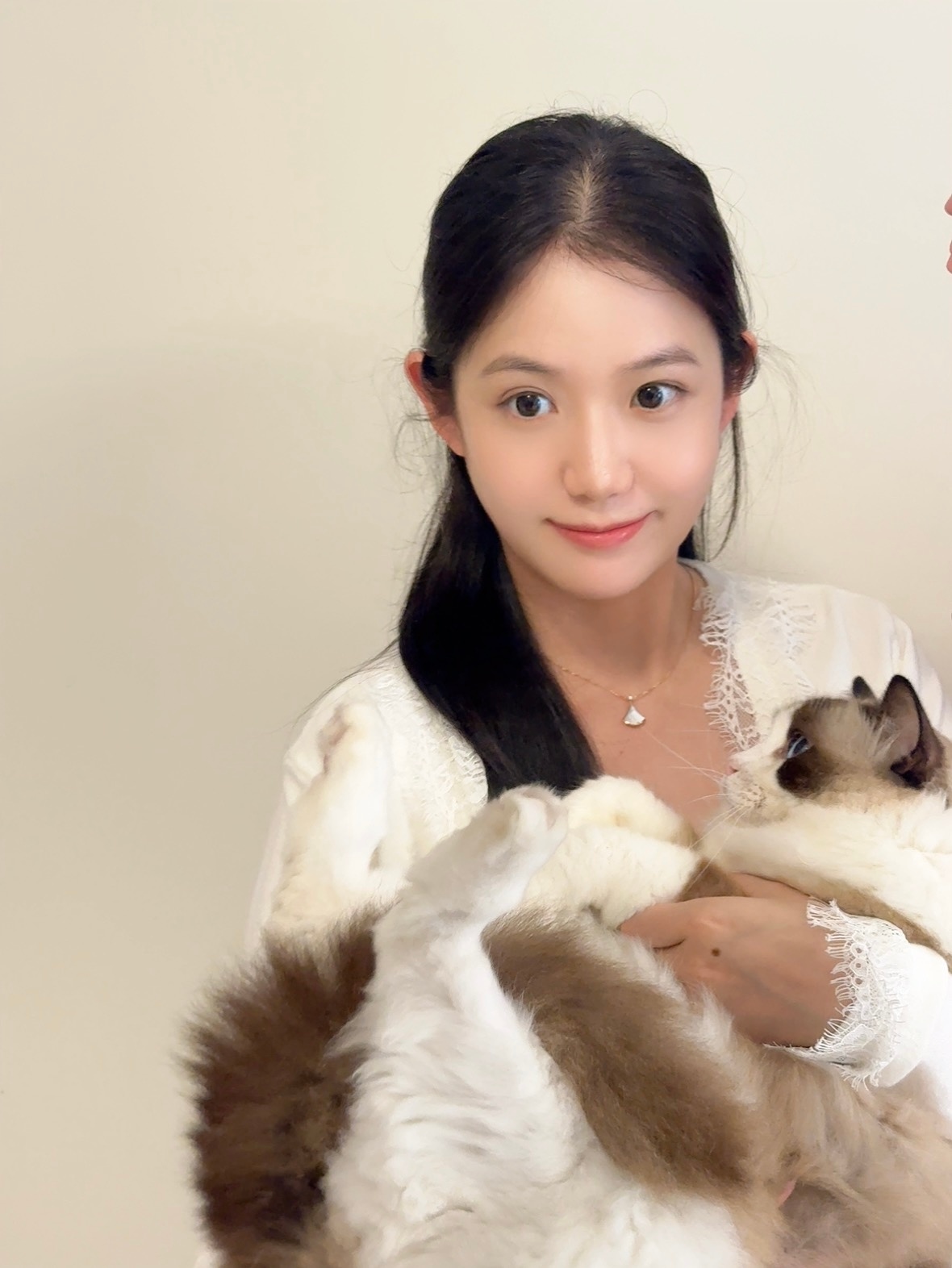 和🐱手办合影了，今天很乖没咬我顺便感受下14斤的婴儿重量向家里人官宣小猫咪