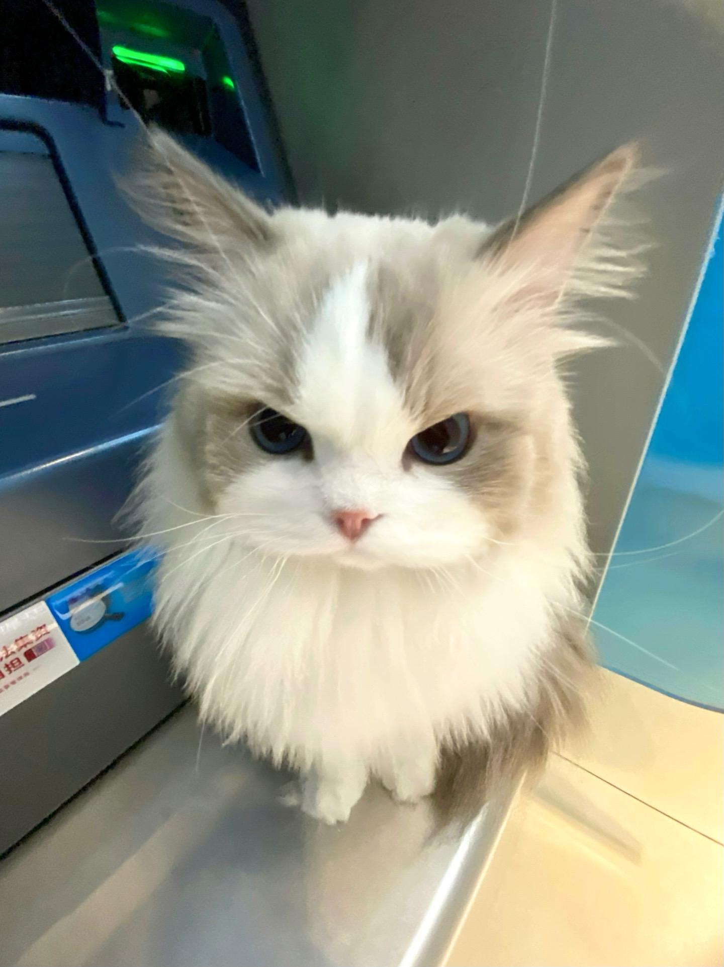 喝多了不小心吐他脚上。满脸失望的看着我…¬_¬💢