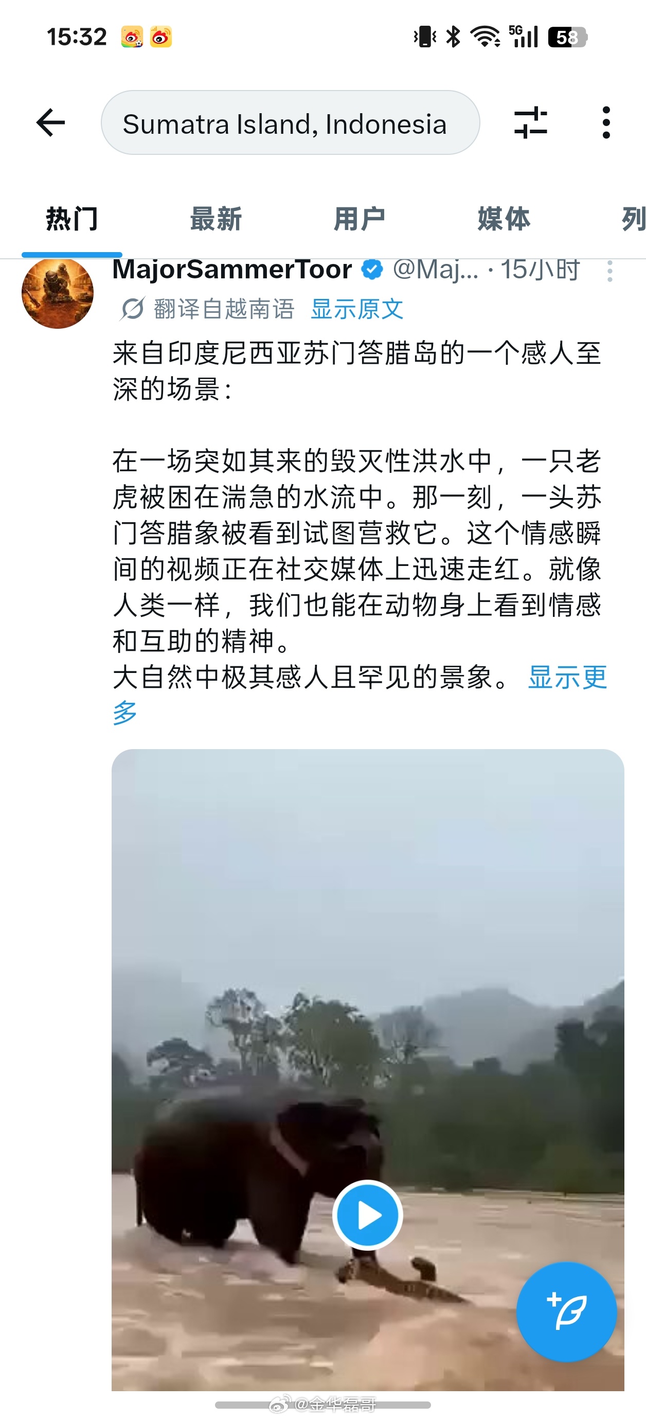 印尼苏门答腊岛大象救老虎的视频真是在外网传疯了，这个确实是AI生成的，绝不是这几