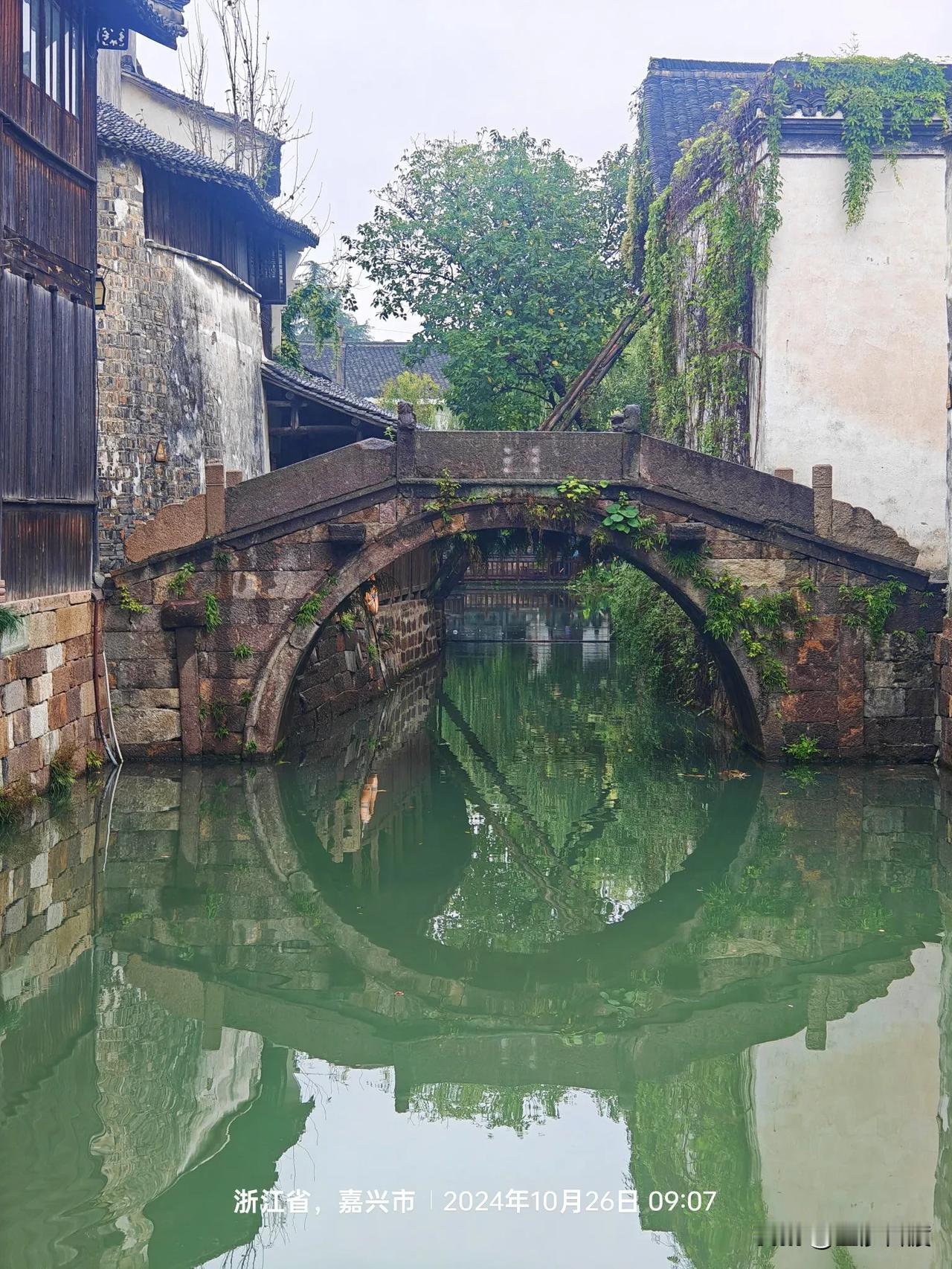 #乌镇风景分享#