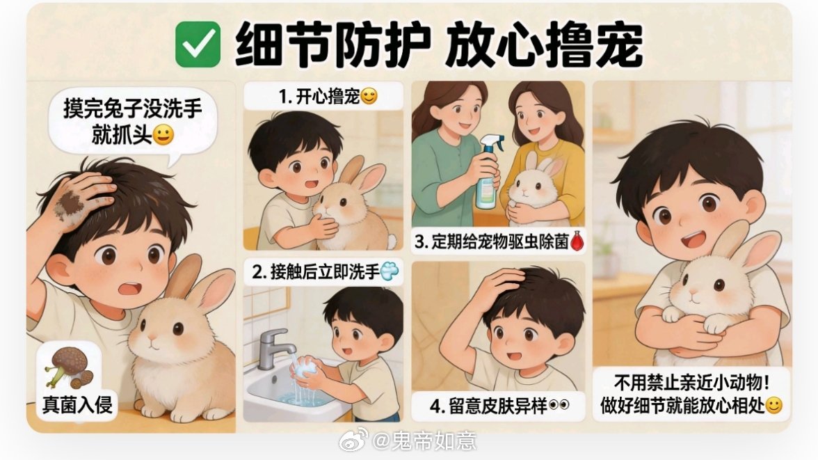 5岁女孩抱完兔子永久性脱发【做好细节防护，不要因为这种短消息，去遏制孩子的天性，