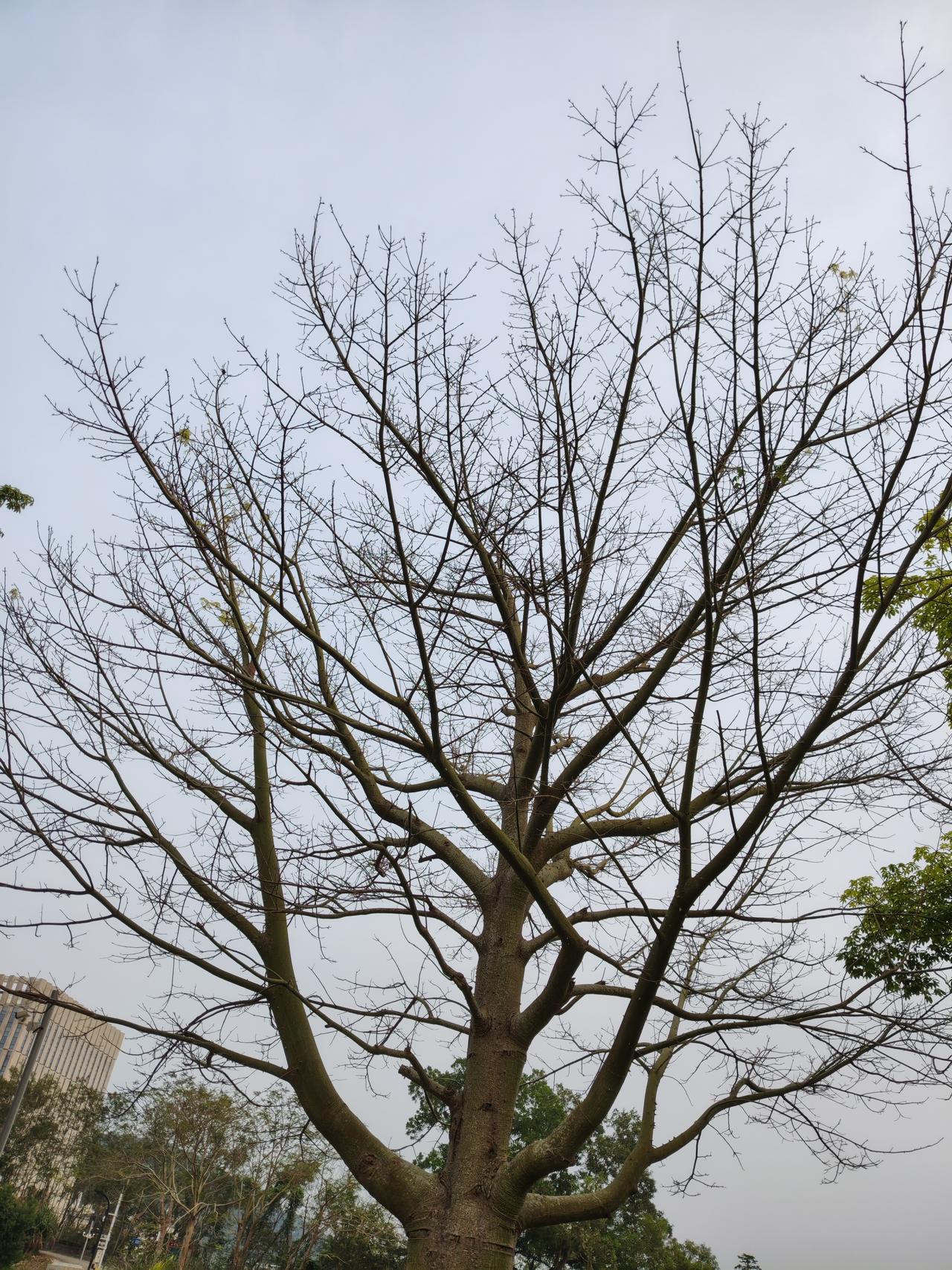 判断主力是否在加仓，不能只看股价涨跌，得从技术行为、基本面逻辑和资金博弈三个维度