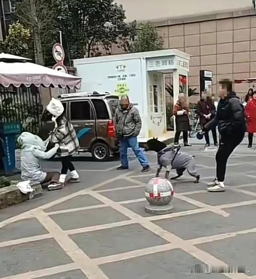 “这对情侣彻底火了！”四川成都，一对情侣遛狗，过路女子就说了句“这狗真大！”情侣