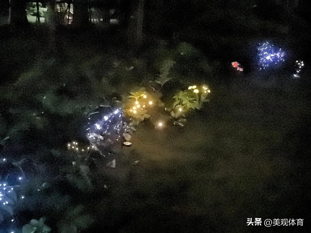 LE灯点亮了夜间的花草植被。