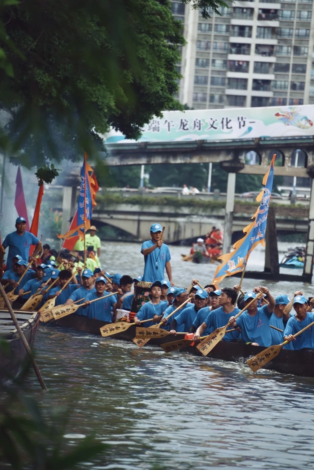 你的房东已上线🛶