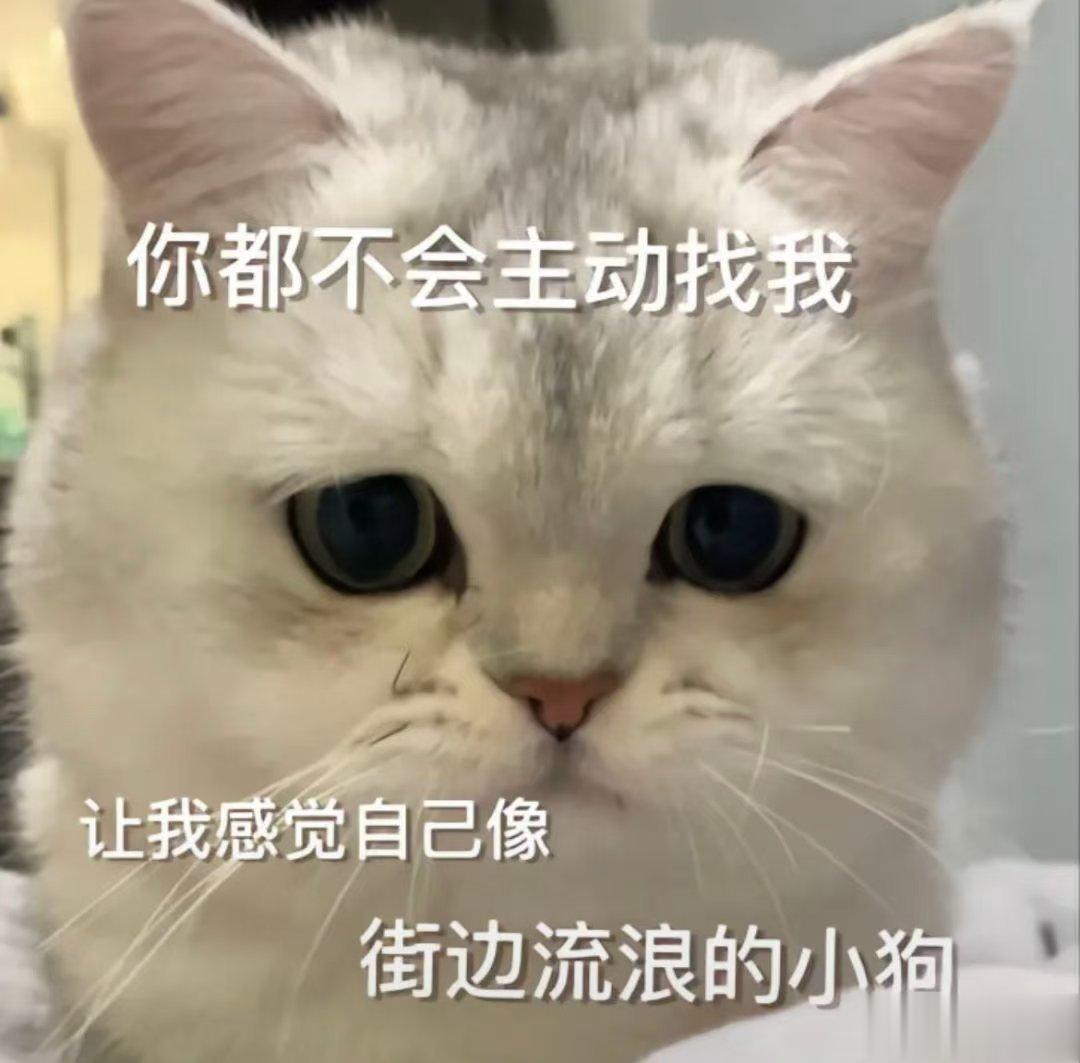 和水瓶很容易处成「你不主动就会淡」的关系，水瓶座本身在感情方面很淡薄，在他们的理