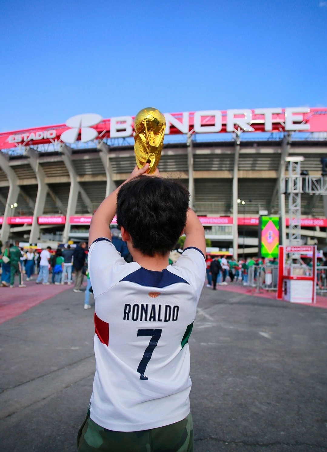 葡萄牙球迷的梦想。墨西哥vs葡萄牙世界杯