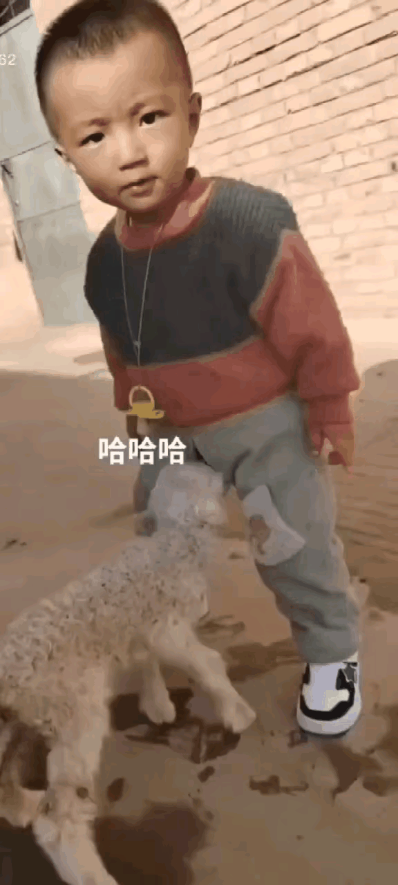 有点意思，不知道这小山羊吃饱了吗？[偷笑][笑哭][捂脸]